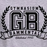 Gymnasium Bammental